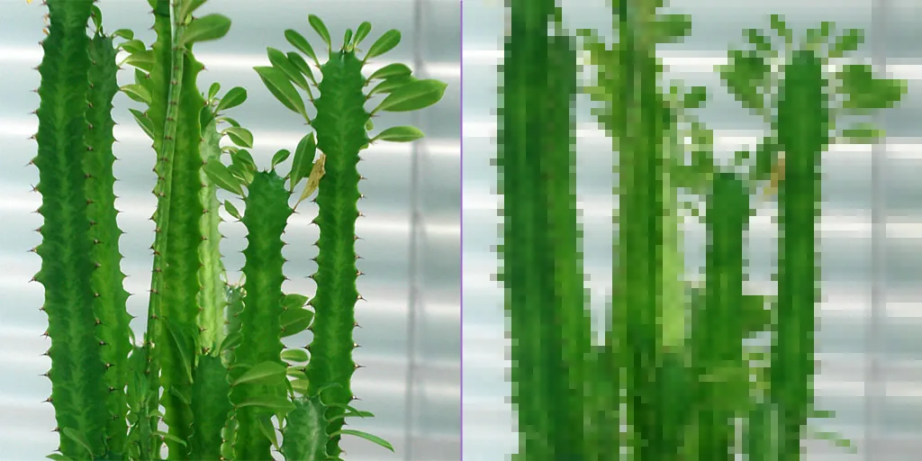 La même photo de cactus deux fois côte à côte : lisse à gauche, découpée en blocs carrés à droite