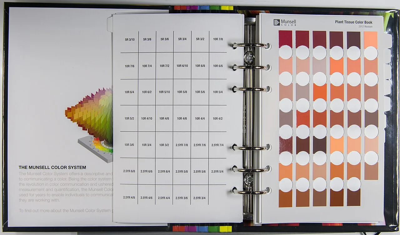 An open color book with swatches, each carrying its own designation