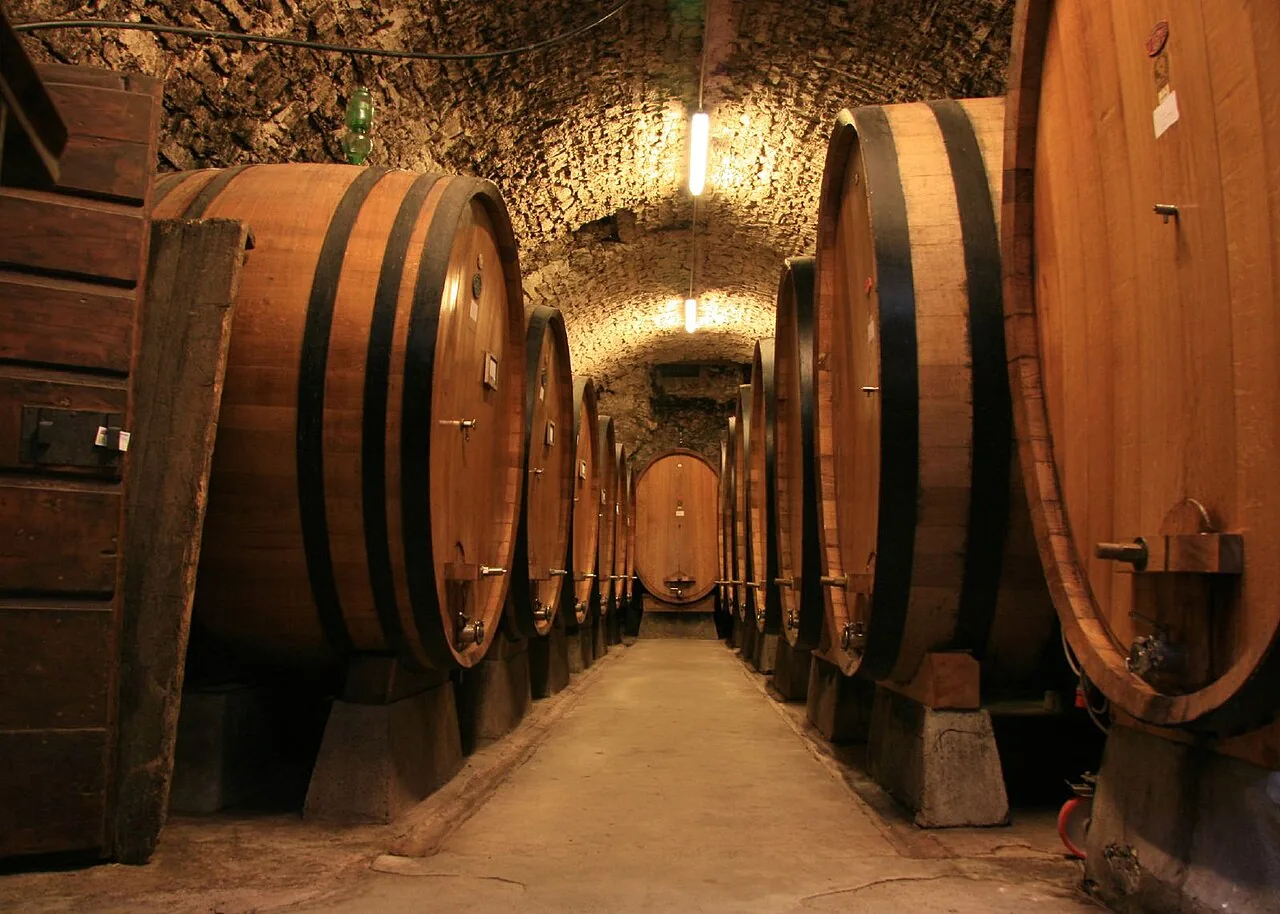 Grandi botti di rovere in una cantina del Chianti